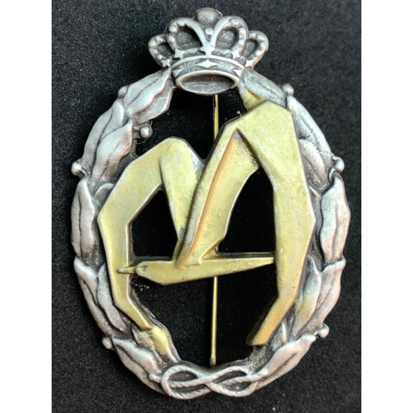 Distintivo per azioni di guerra, trasporto - della RR.AA. (Oro)