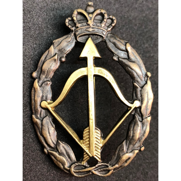 Distintivo per azioni di guerra, caccia intercettatore - della RR.AA. (Oro)
