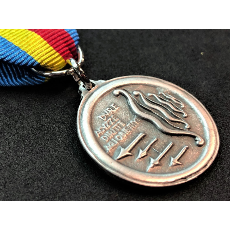 Medal "Flechas Azules"