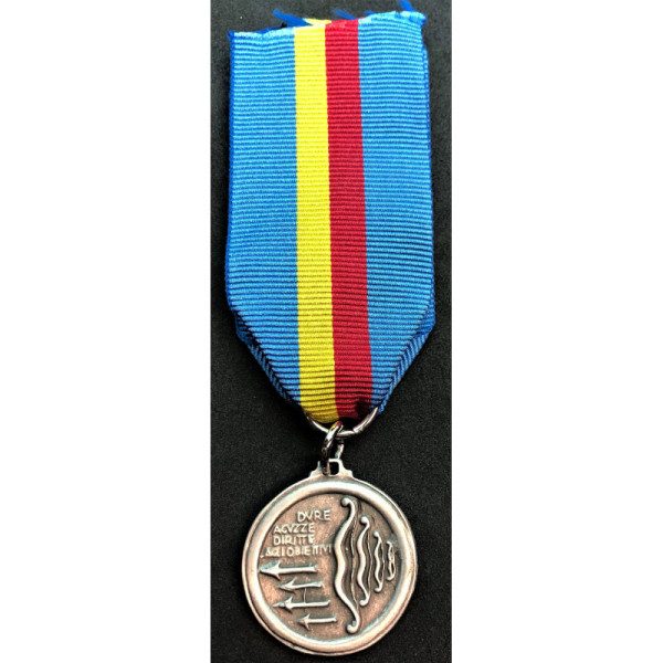 Medaglia "Flechas Azules"