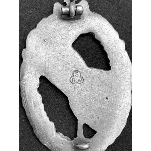 Balloon Observer's Badge