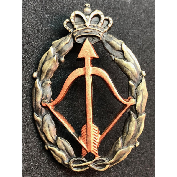Abzeichen für Kriegsaktionen, Abfangjäger Flugzeug - von RR.AA. (Bronze)