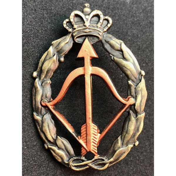 Distintivo per azioni di guerra, caccia intercettatore - della RR.AA. (Bronzo)
