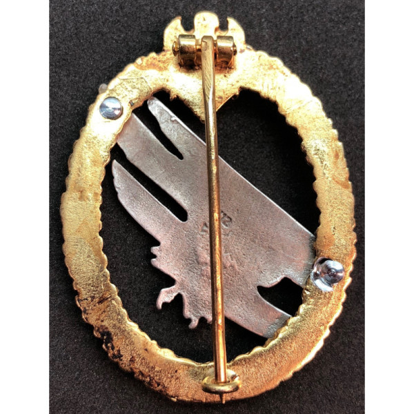 Paratroopers Badge