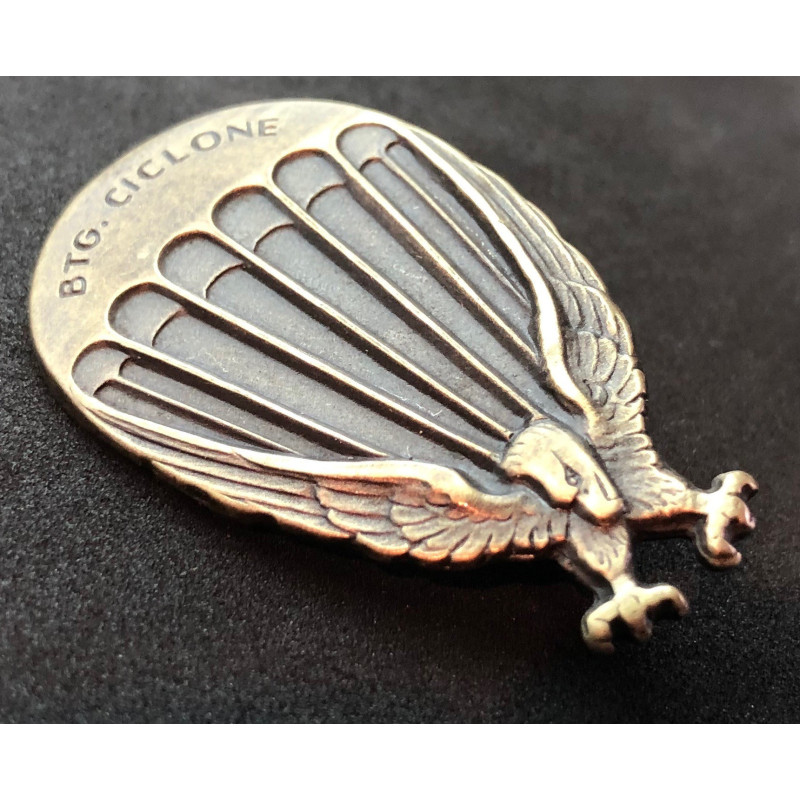 Badge of the 183rd "Cyclone" Paratroopers Division