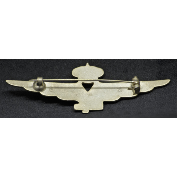 R.A. Pilot Abzeichen 2