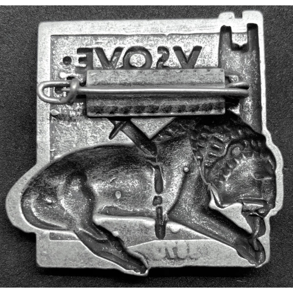Badge of the March on Gondar 2