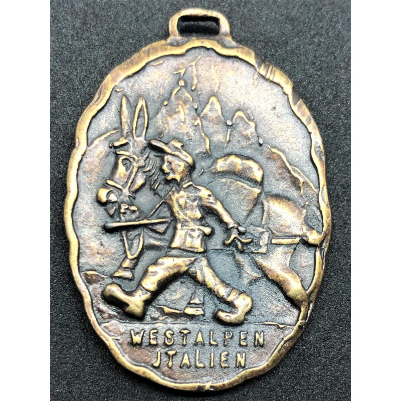 Medaille Westalpen Italien LeKol/Geb. Jäg. Rgt 100. 1945